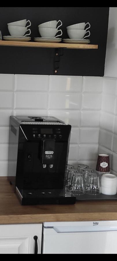 Spij W Kudowie Apartament I Pokoje Goscinne Kudowa Zdroj Luaran gambar
