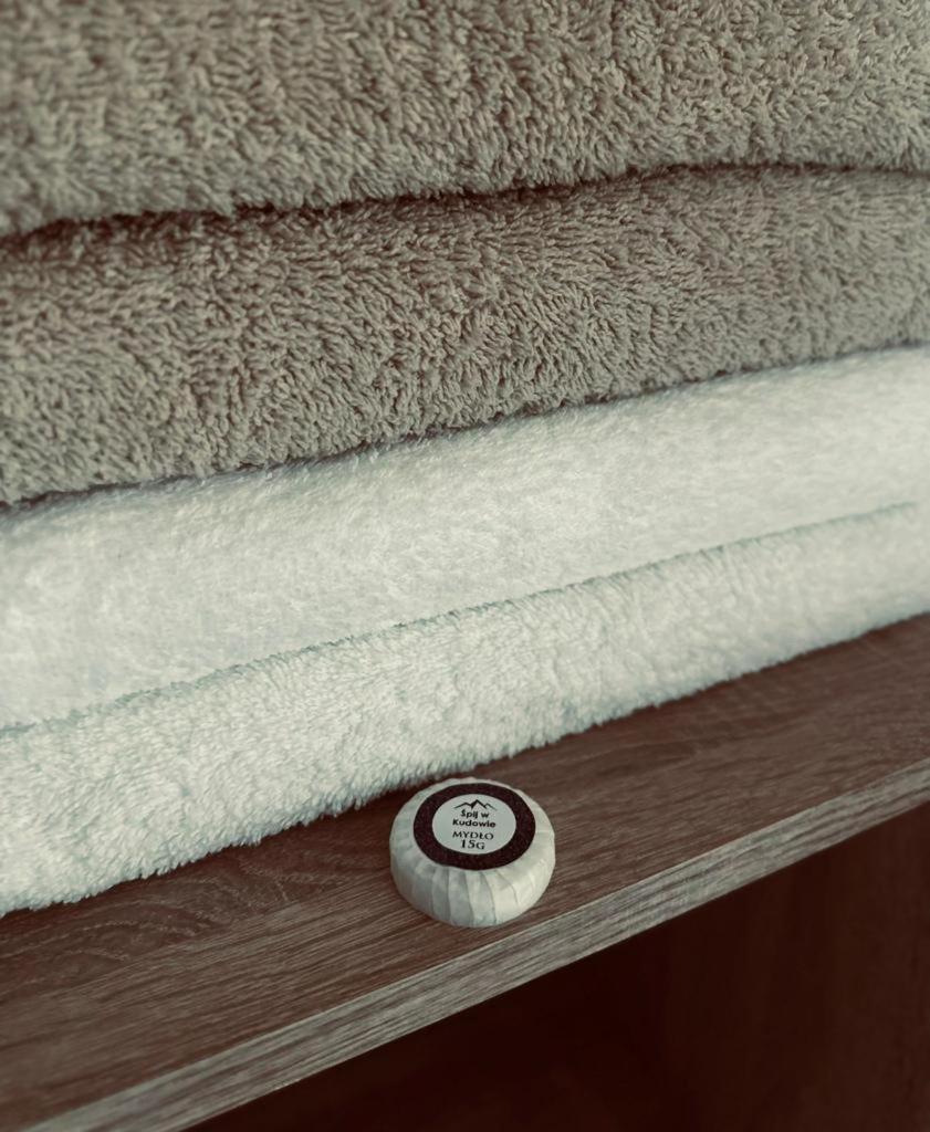 Spij W Kudowie Apartament I Pokoje Goscinne Kudowa Zdroj Luaran gambar