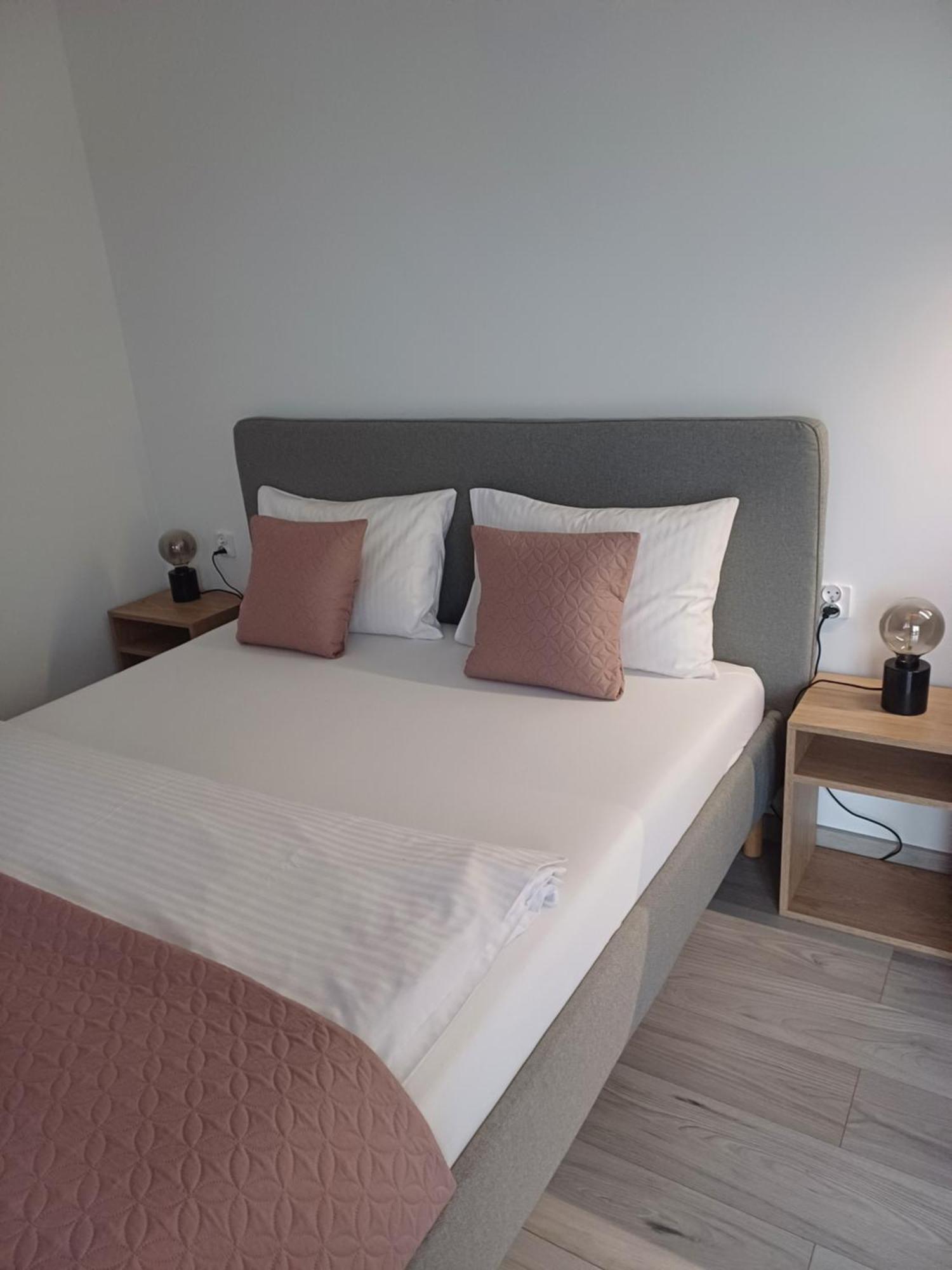 Spij W Kudowie Apartament I Pokoje Goscinne Kudowa Zdroj Luaran gambar